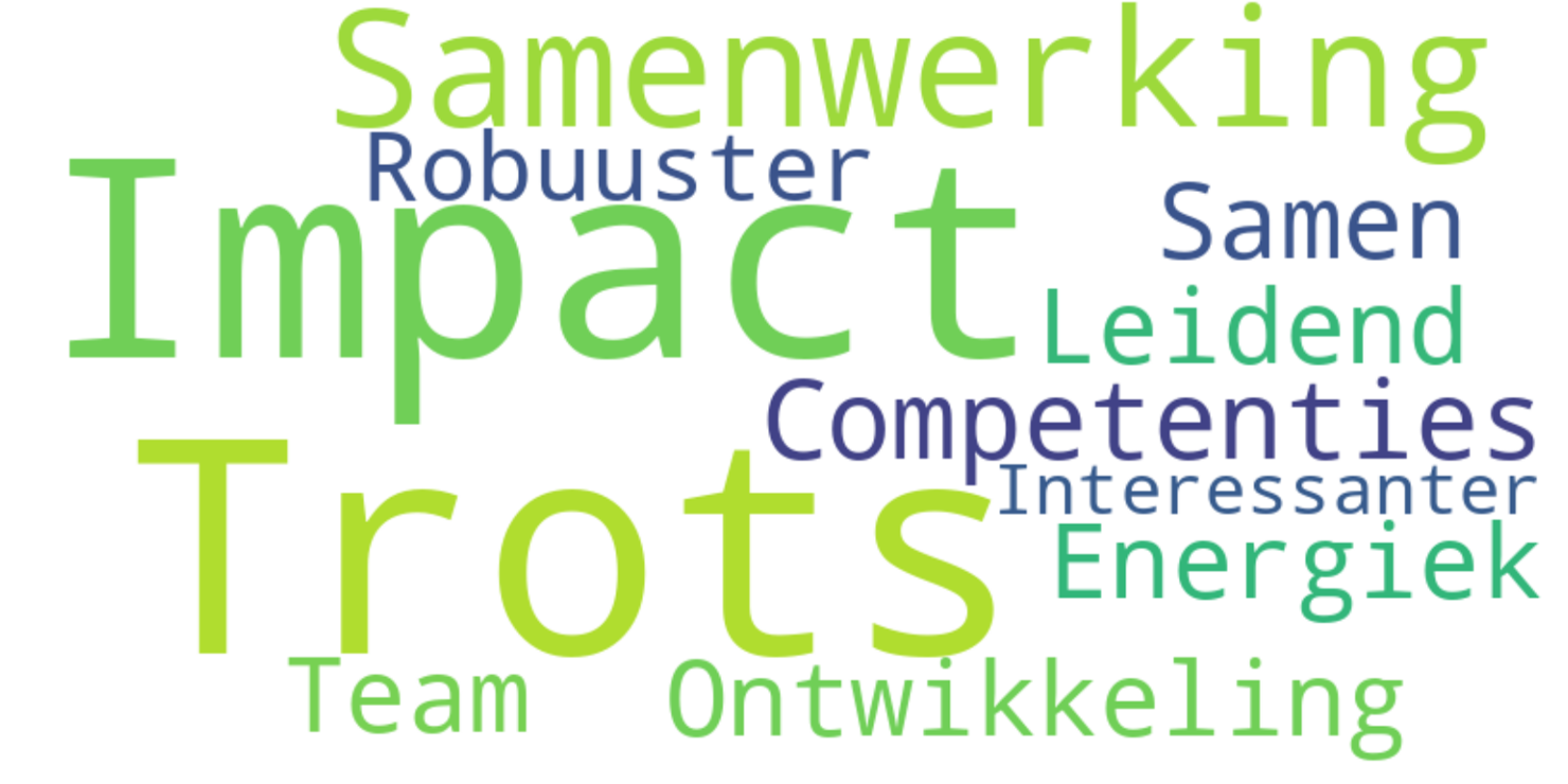 wordcloud kernwaarden